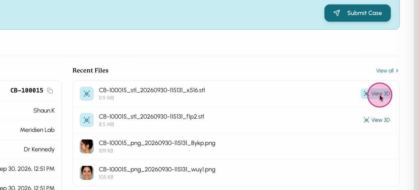 Step 14: Review your case details and materials. Use the View 3D file option to inspect 3D scan files. Make sure all information and files are included.